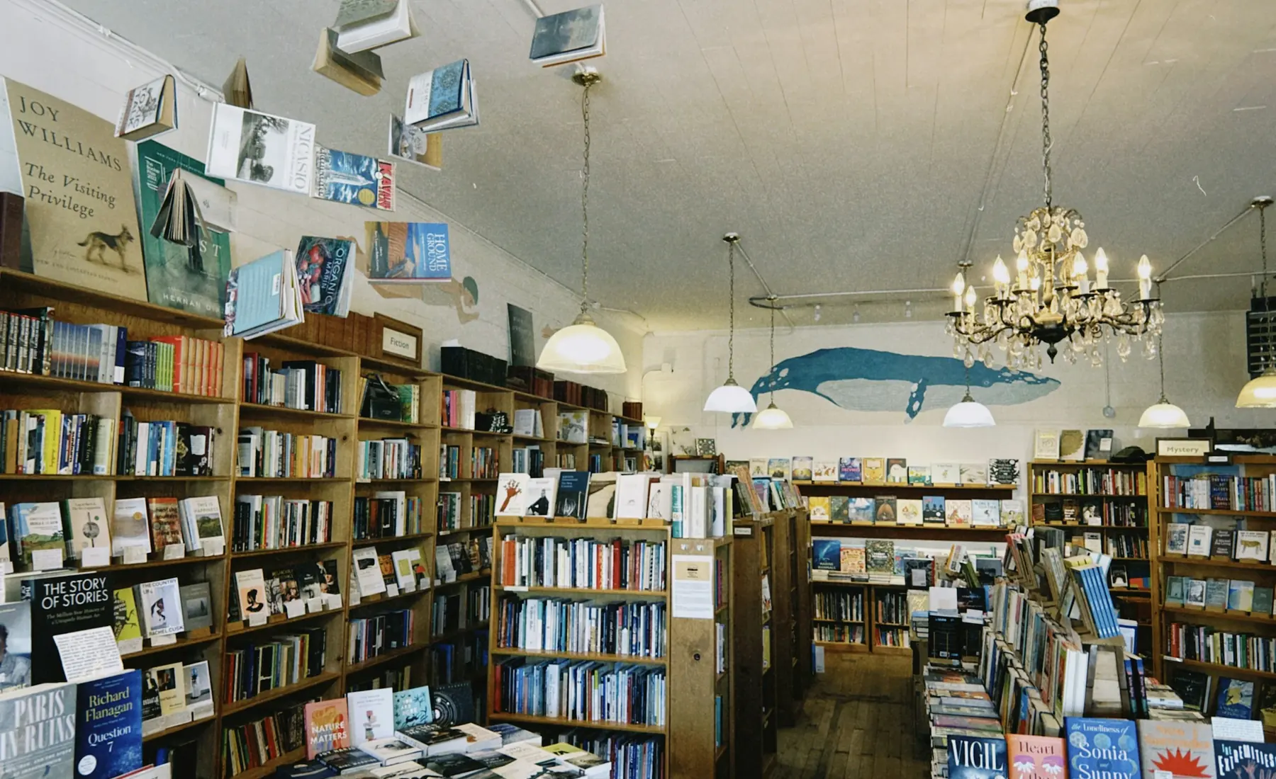 In praise of the quiet bookshop